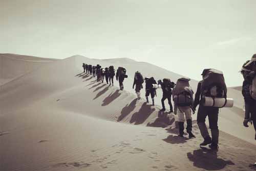 攝影二等獎《征服》 作者:付興根(內分泌科) 3.jpg