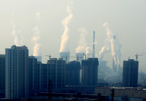 攝影三等獎《擇鄰而居》 作者：侯欽森（放射科）  7.jpg