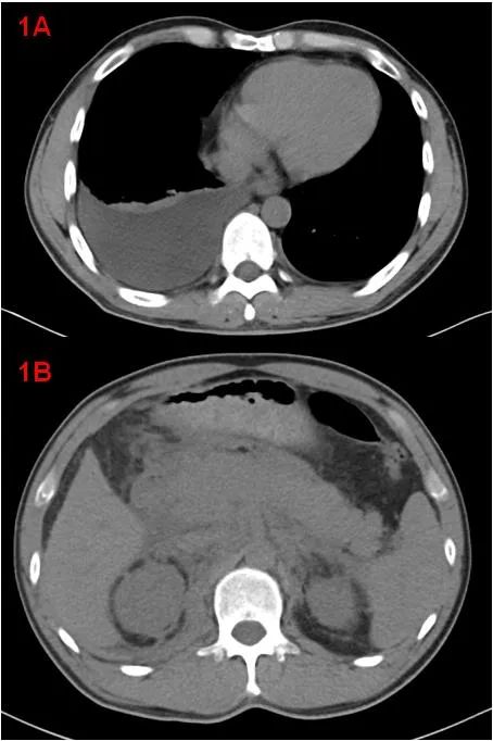 1702090352299762.jpg 1.jpg